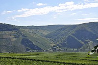 WRC-D 20-08-2010 020.jpg